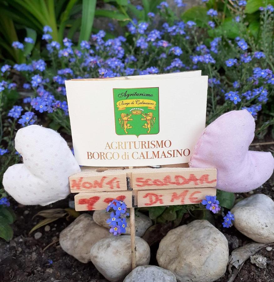 Agriturismo Borgo Di Calmasino Bardolino Buitenkant foto