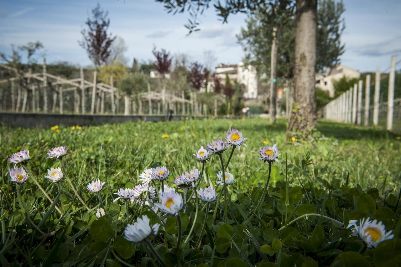 Agriturismo Borgo Di Calmasino Bardolino Buitenkant foto